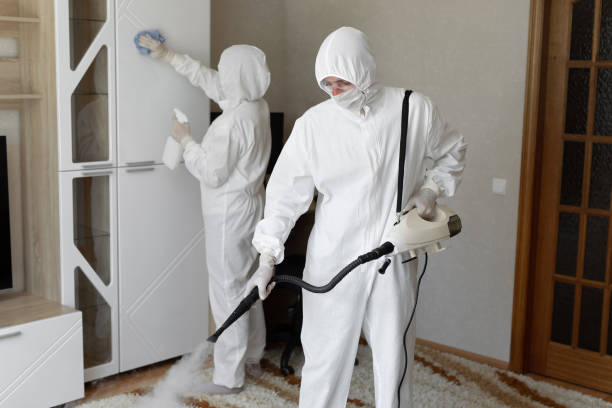 Best Mold Remediation for Specific Building Types in Hebbronville, TX
